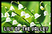 Lily of the Valley