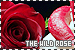 Christine // The Wild Rose