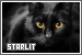Lila // Starlit