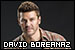 David Boreanaz
