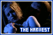 Buffy 1.02 The Harvest