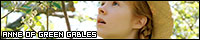 200x40 code