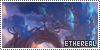 100x50 code