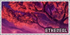 100x50 code