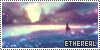 100x50 code