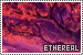 75x50 code