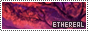 88x31 code