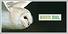 100x50 code