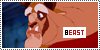 100x50 code