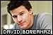 David Boreanaz