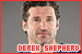 Grey's Anatomy: Derek Shepherd