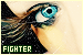 Fighter