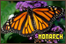 Monarch Butterflies