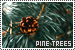 Trees: Pine