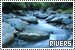 Rivers