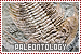 Paleontology