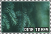 Pine Trees