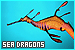 Sea Dragons